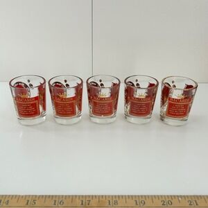 Set of 5 Vintage Bacardi & Tom Collins Daiquiri Cocktail‎ Recipe Shot Glasses